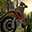 Больше об Forest Bike banner